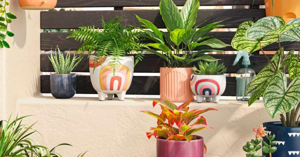 Target Planters on Sale