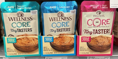 Wellness Wet Cat Food Pouches 12-Pack Just $6.83 Shipped on Amazon (Only 60¢ Each)
