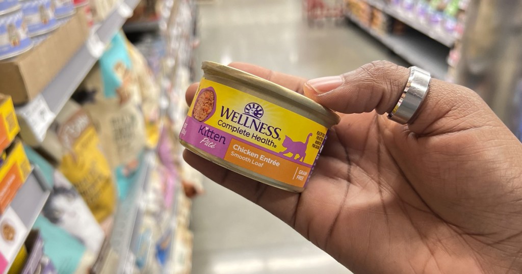 hand holding can of wellness kitten food