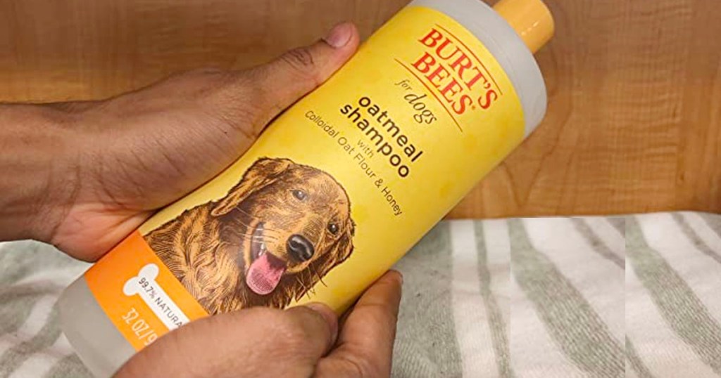 hands holding burts bees oatmeal shampoo