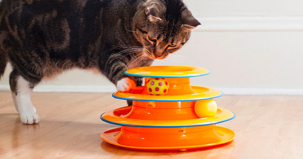 cat playing with tower toy