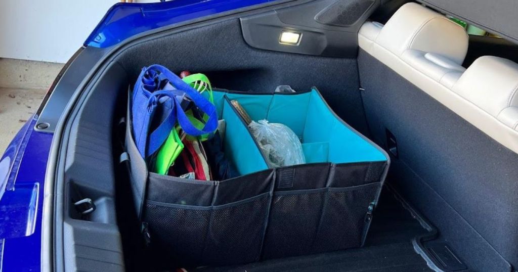 storage compartment in trunk of car holding items