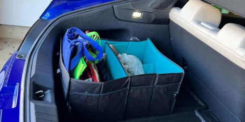 Insignia Collapsible Car Organizer Only $14.99 Shipped on BestBuy.com (Regularly $30)