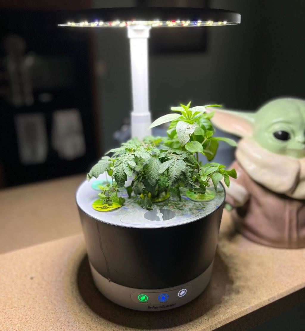 aerogarden with veggie plant