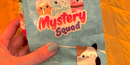 Squishmallows Mystery Squad Blind Bags w/ Scented Plush Only $5.97 on Amazon (Great for Easter Baskets)