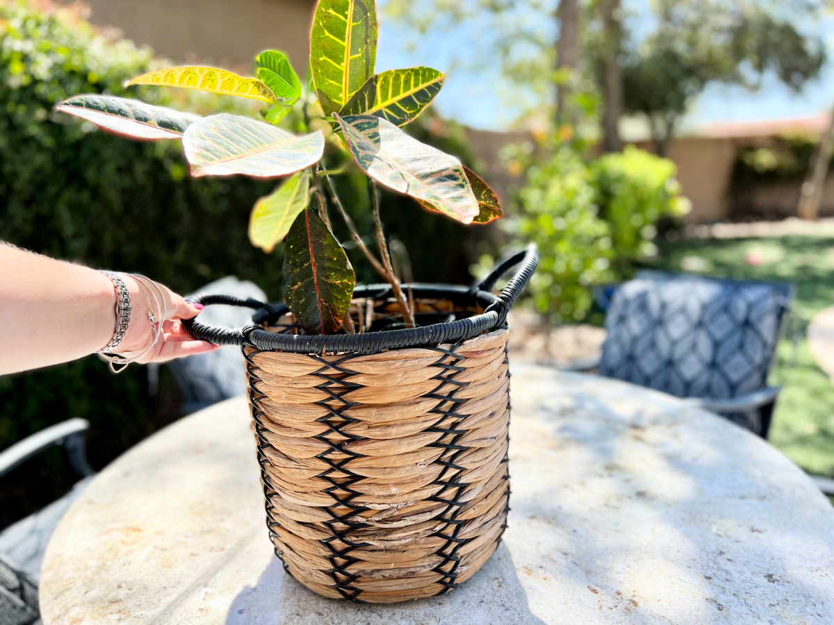 walmart woven planter outside on a table 