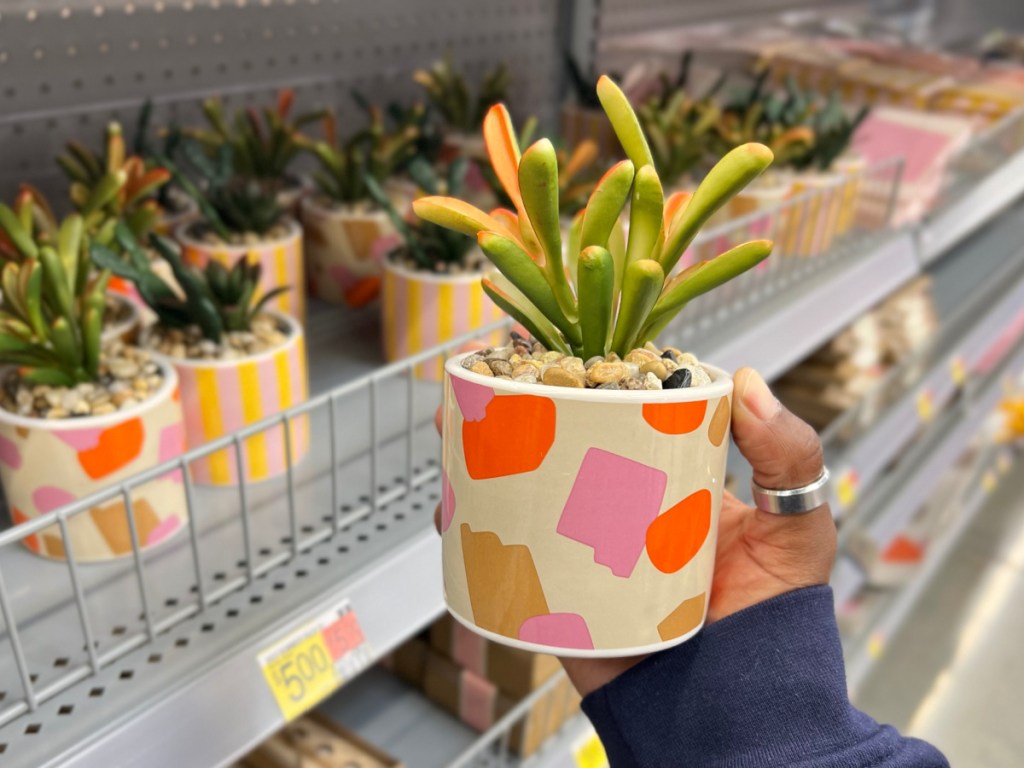 woman holding one Summer 2023 Faux Plant standing in front of more plants