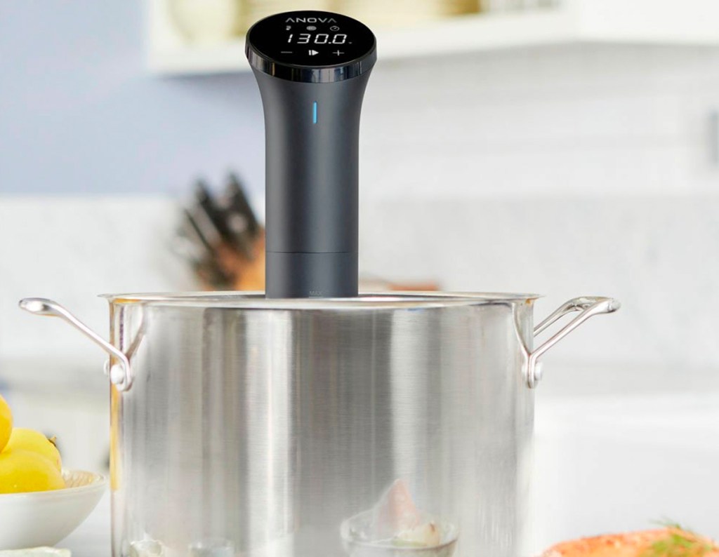 Anova Nano Sous Vide Precision Cooker cooking in a pot