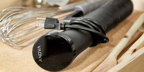 Anova Nano Sous Vide Precision Cooker Only $99 Shipped on Amazon (Regularly $149)