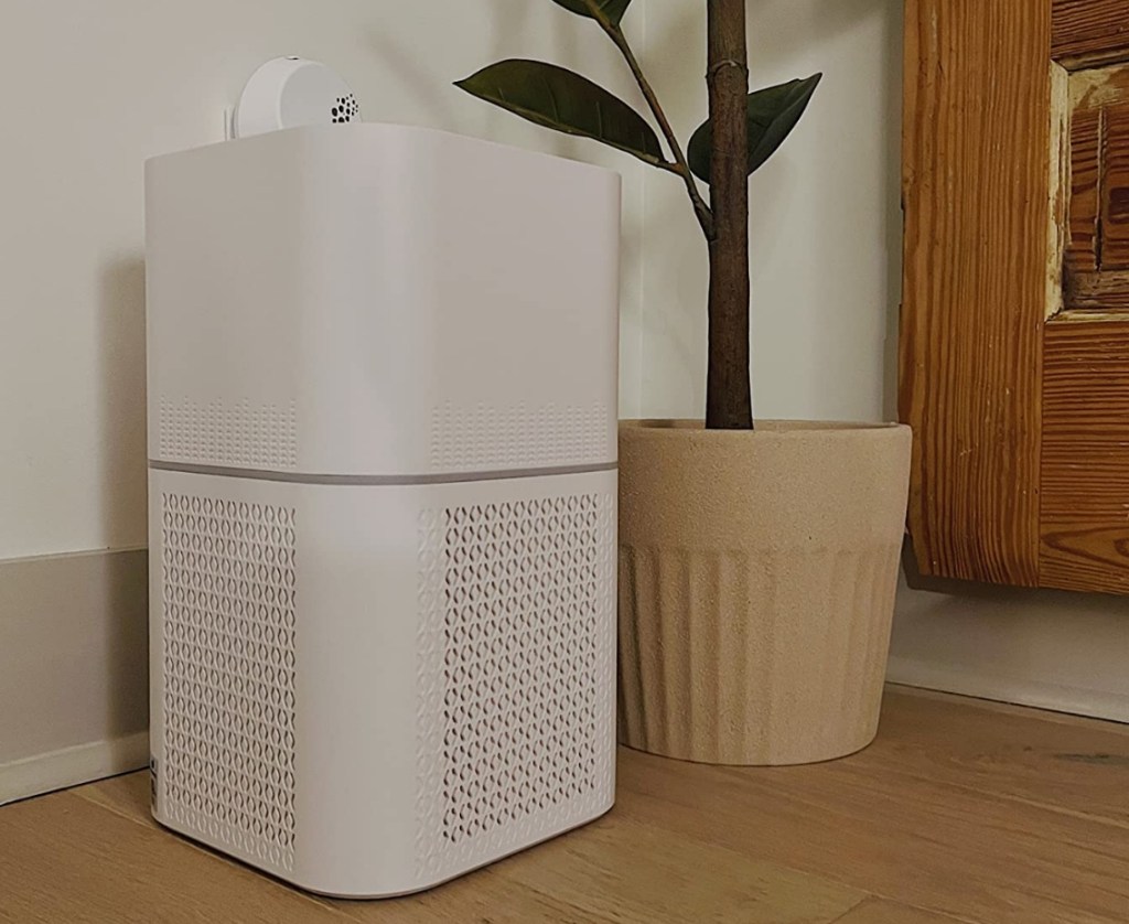 Air purifier next to a plant