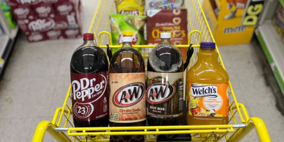 Today Only: Stack Dollar General Deals & Score 10 Items for Just $9.70!