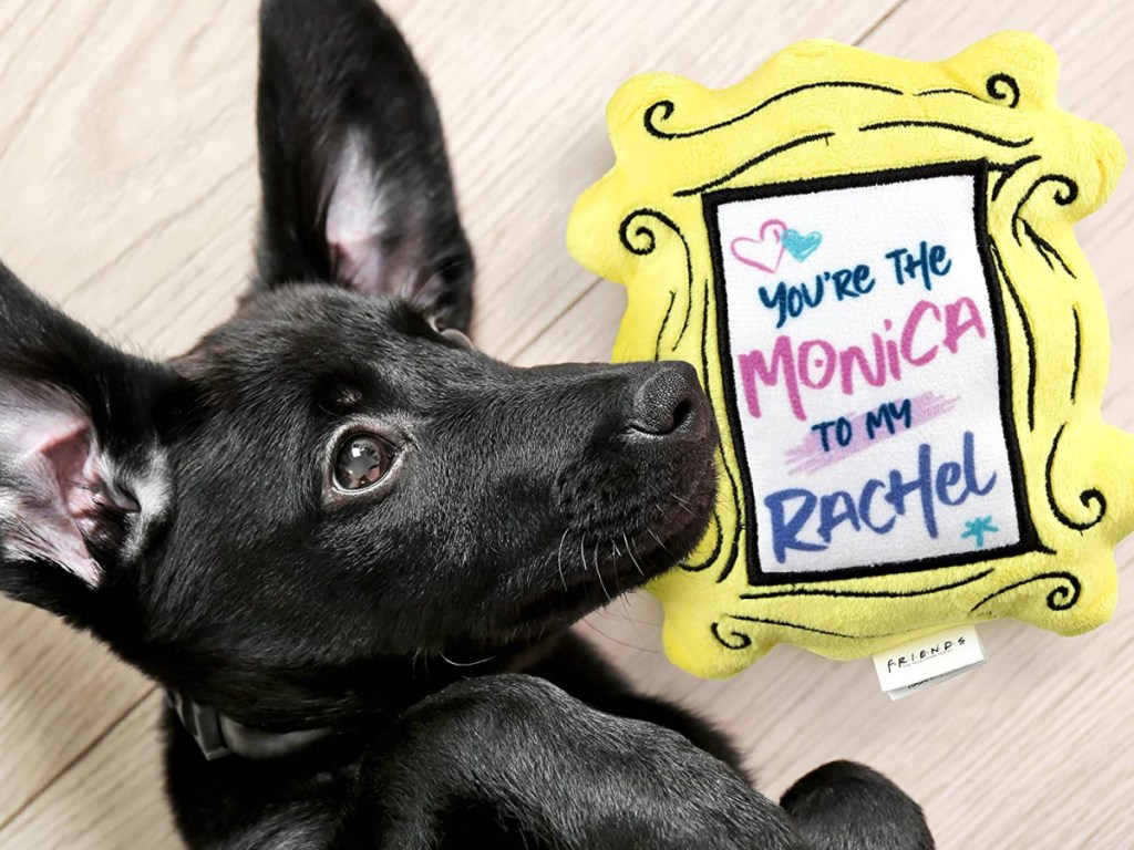 Friends You're Better Together Frame Dog Toy with dog laying down