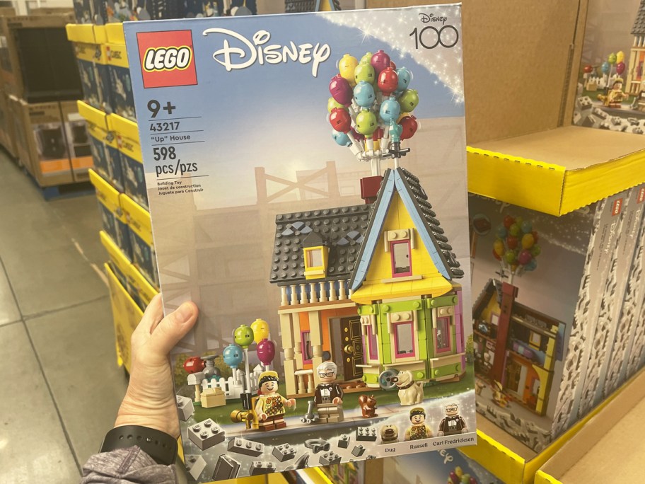 hand holding box for lego disney up house set