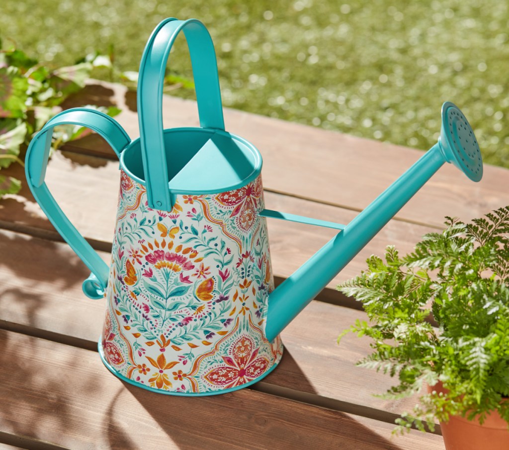 The Pioneer Woman Watering Can from the patio and garden 2023 collection