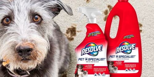 Resolve Carpet Cleaner Spray & Refill Only $11.31 Shipped on Amazon
