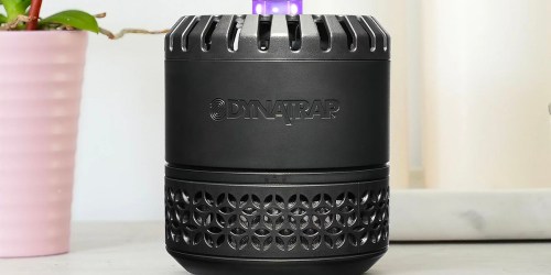 DynaTrap Indoor Fly & Insect Trap w/ 4 Glue Cards Only $29.98