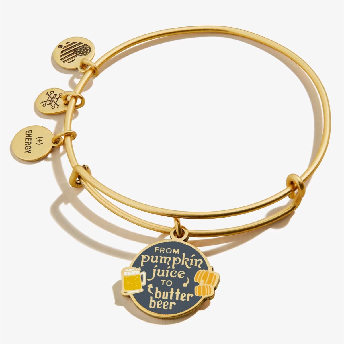 Alex + Ani Harry Potter 'From Pumpkin Juice To Butter Beer' Charm Bangle