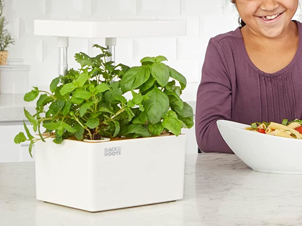 Hydroponics grow kit with light