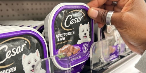 50% Off Cesar Wet Dog Food at Target | Trays from 74¢