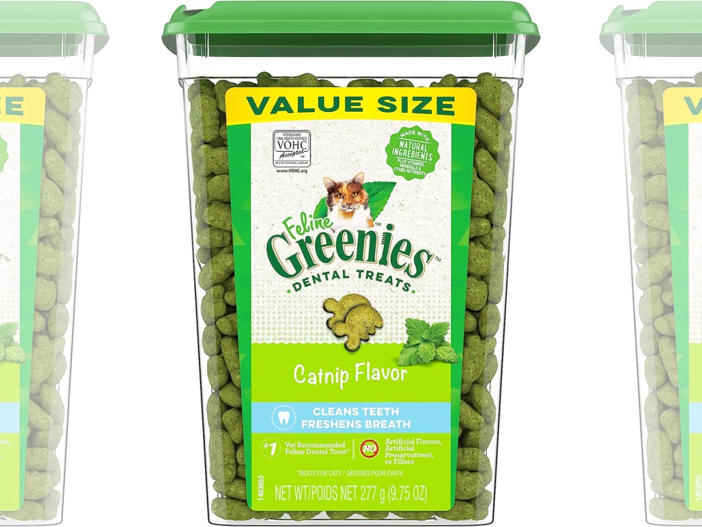 tall plastic container of Feline Greenies Dental Cat Treats