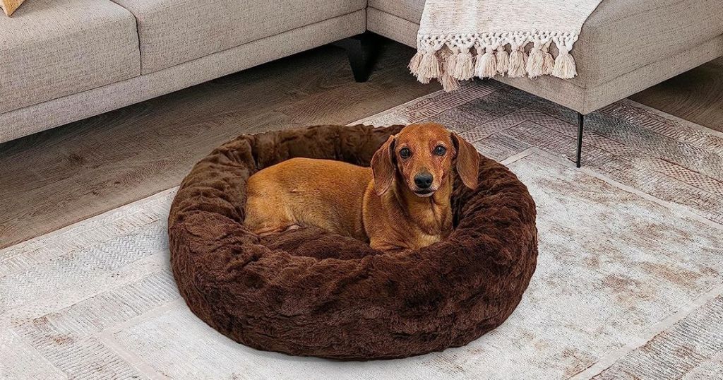 Best Friends by Sheri The Original Calming Donut Cat and Dog Bed shown with dog