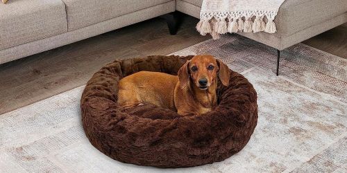 Calming Donut Dog Bed from $17.99 on Amazon (Reg. $35) | Over 50,000 5-Star Reviews