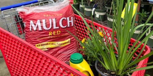 Lowe’s Memorial Day Sale Ends Tonight | $2 Mulch, BOGO Free Deals, & More!