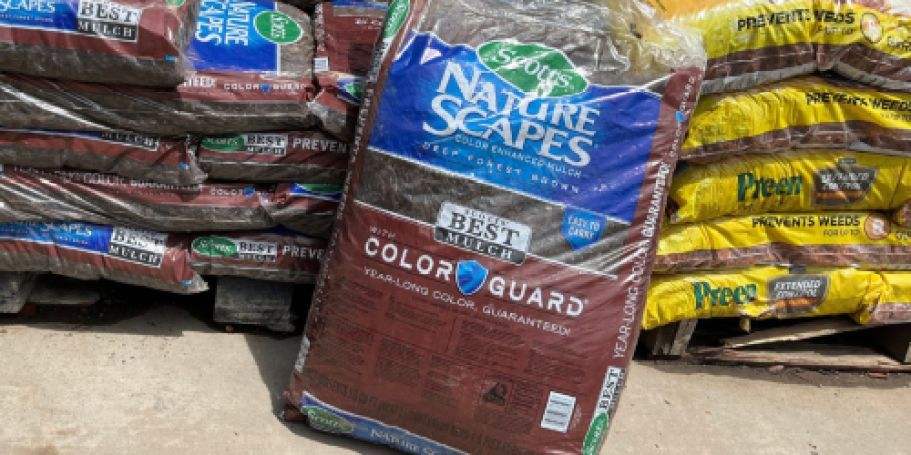 Lowe’s 4th of July Sale Ends Today | $2.50 Mulch, BOGO Paint, Garden Deals, & More