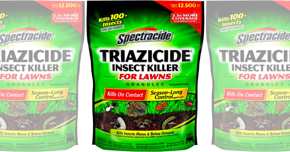 a 10 pound bag Spectracide triazicide 