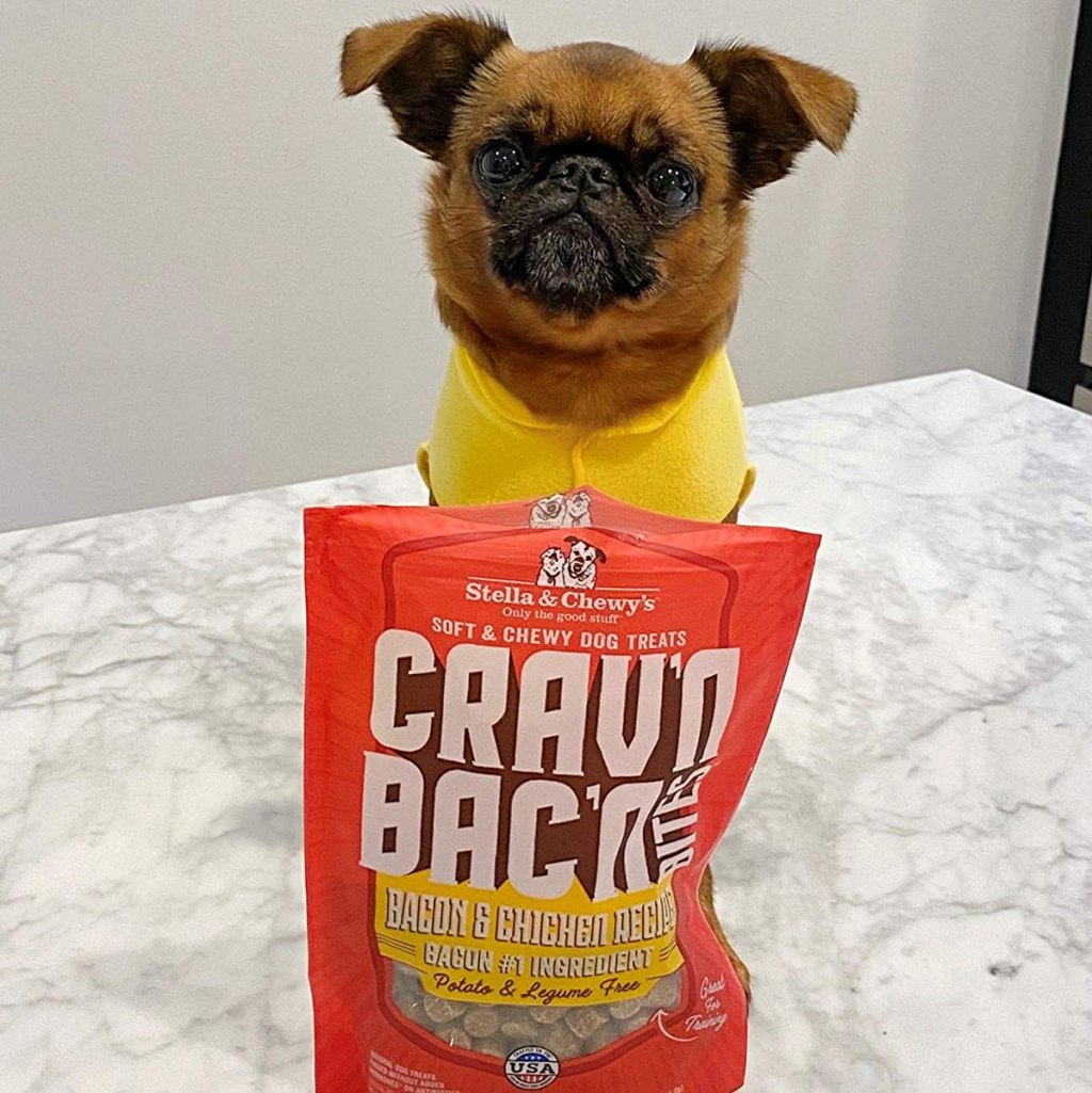 Dog sitting behind a bag of Stella & Chewy's dog treats