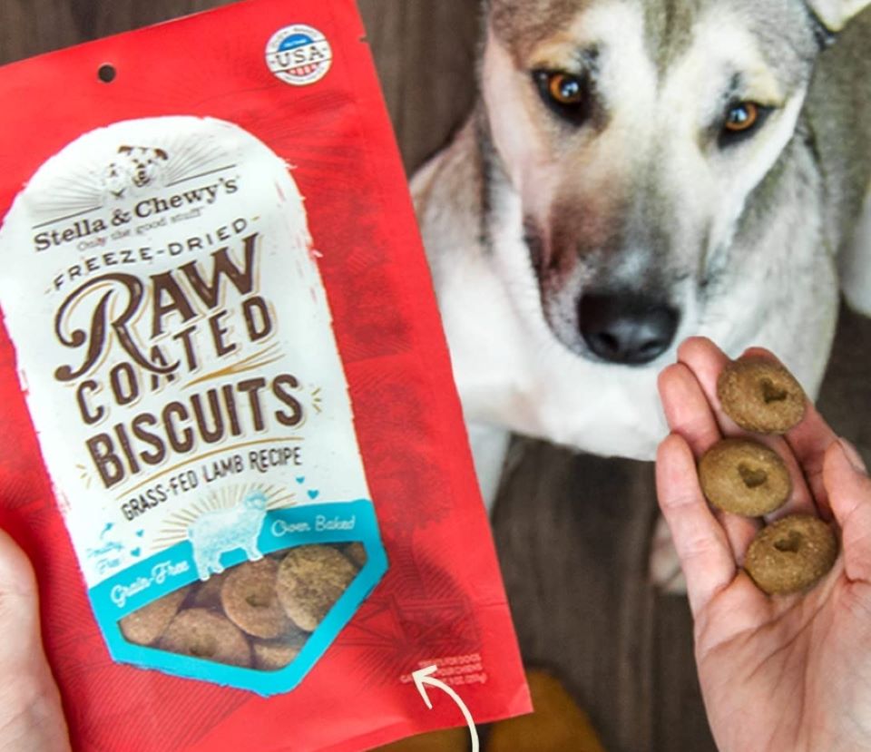 Hand holding a bag of dog treats and another hand holding the treats out to a dog