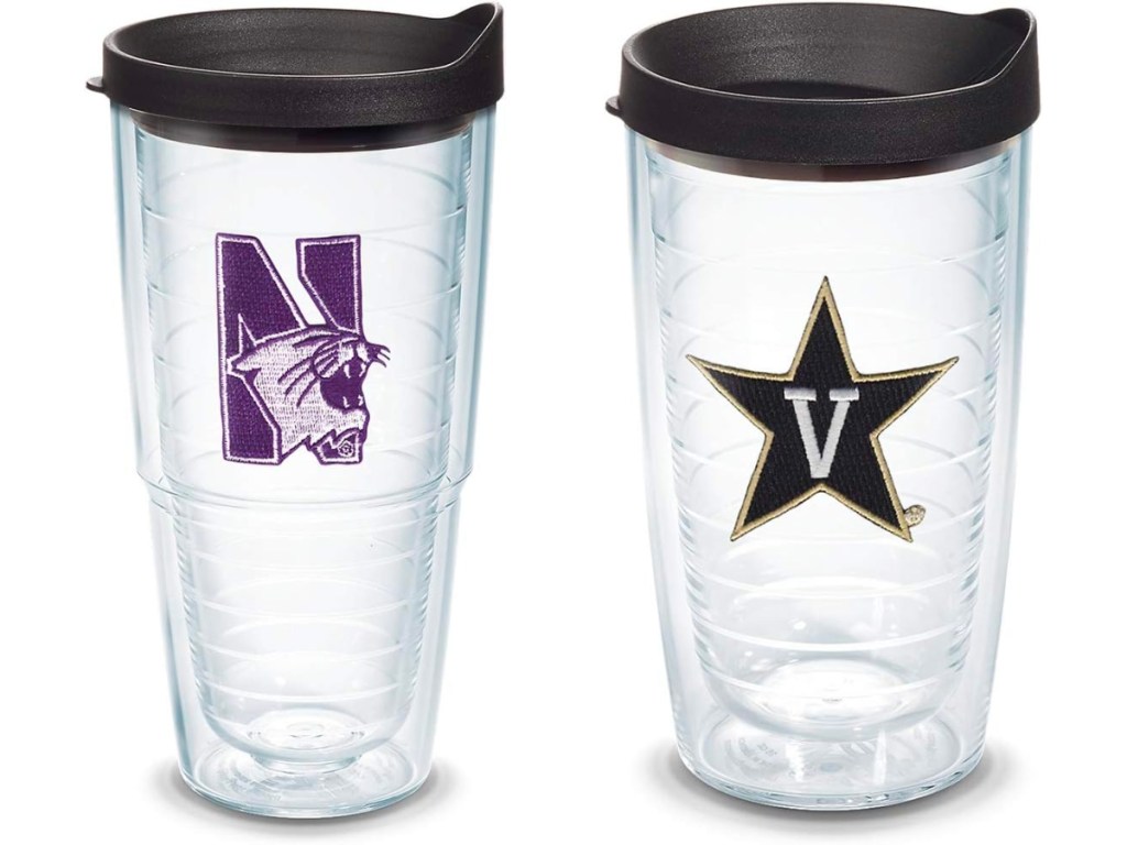 northwestern and vanderbilt tervis tumblers