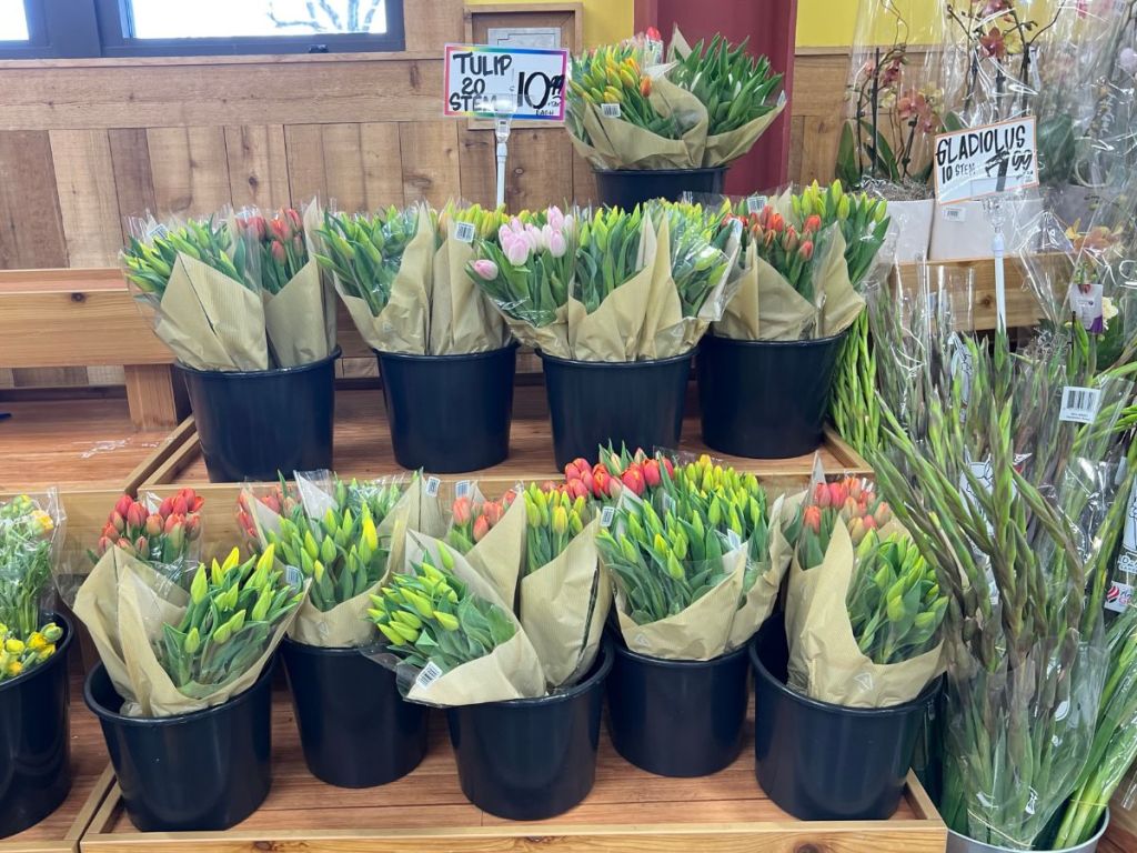 various bouquets of tulips on store display in Trader Joe's
