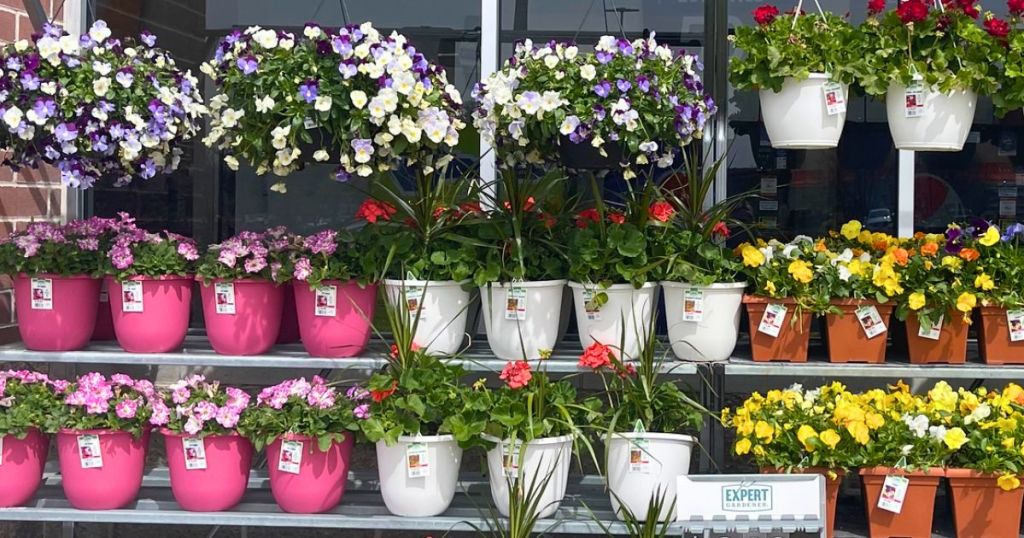 assorted potted flowers set up outside in a walmart garden dept