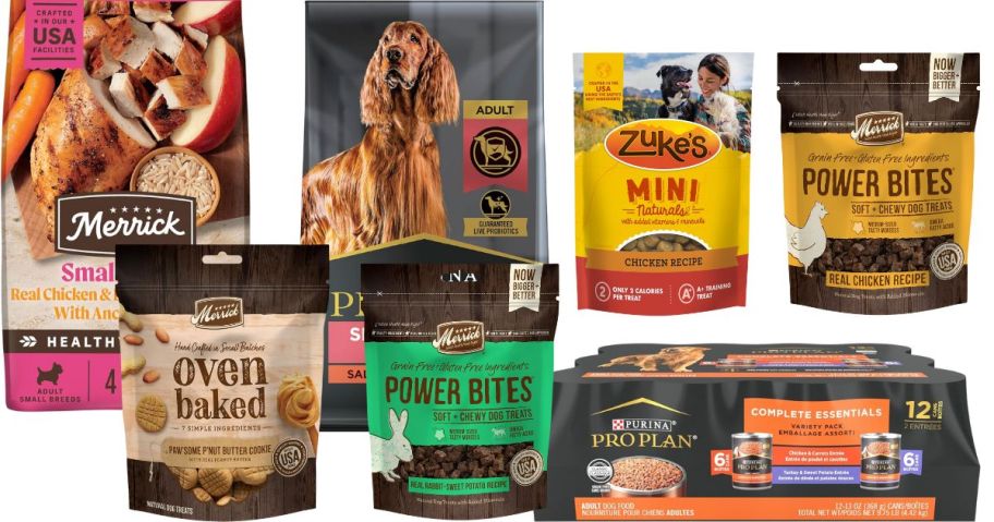 dog supply stock images