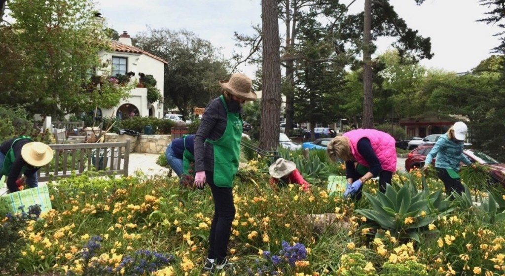 women gardening together