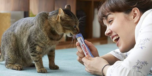 Inaba Churu Lickable Cat Treat Tubes 50-Count Only $6.50 Shipped on Amazon (Reg. $32) | Awesome Reviews