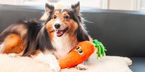 Up to 50% Off Outward Hound Dog Toys on Amazon (Prices from $5)