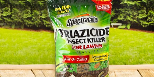 Spectracide Insect Killer for Lawns 10lb Bag Just $6 Shipped on Amazon (Regularly $15)