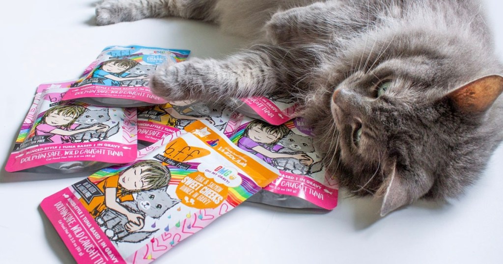 cat laying next to weruva cat food pouches 