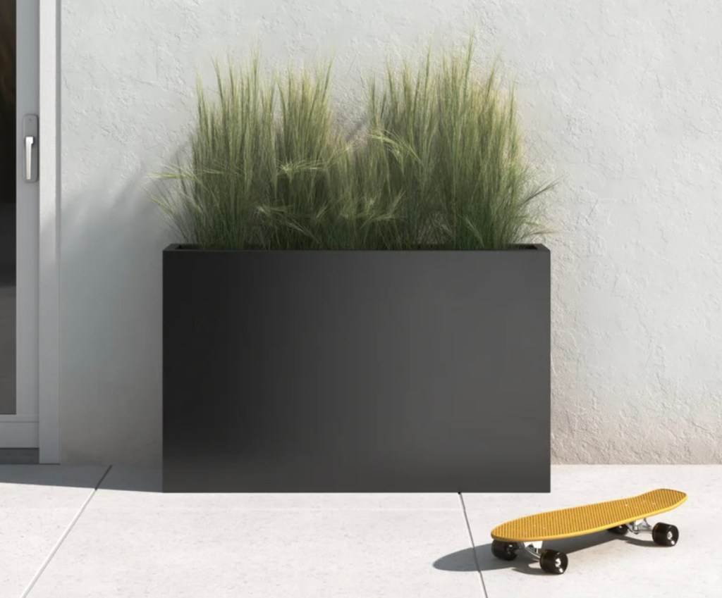 black planter box with tall grass inside with yellow skateboard on concrete 