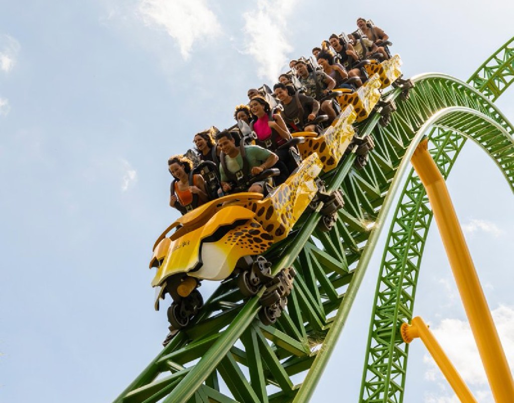 People riding a rollercoaster at Busch Gardens Tampa Florida