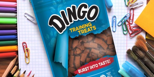 GO! Dingo Training Treats 360-Count Bags Just $3.58 Each Shipped on Amazon (Regularly $12)