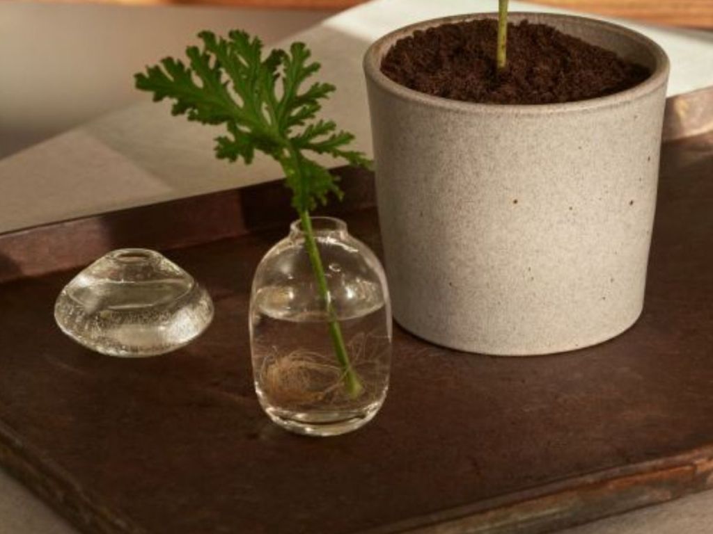 H&M Small Glass Vase shown on coffee table