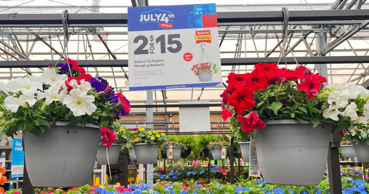 Lowes july 4th hanging plant deals 2 for $15 IN-STORE ONLY 