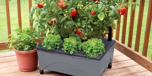 Raised Garden Bed w/ Wheels & Watering System Only $25.48 Shipped on HomeDepot.com (Reg. $40)