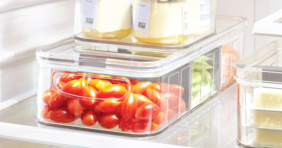 divided food storage container in fridge