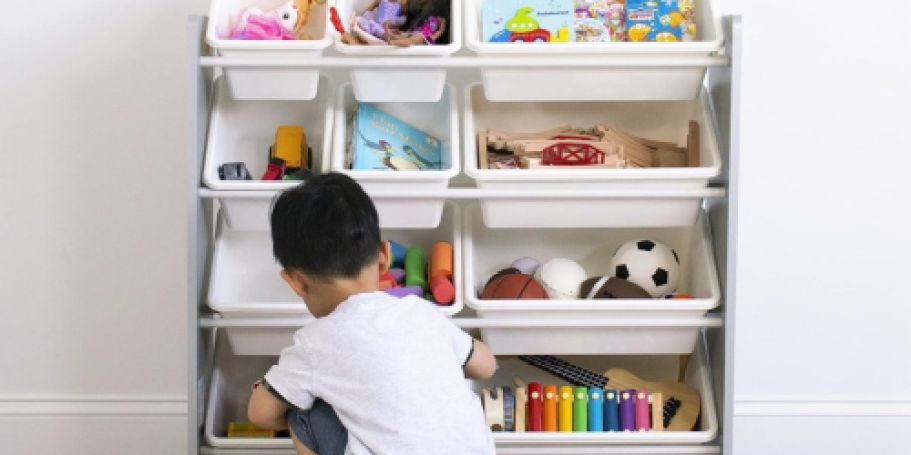 Highly-Rated Toy Organizer with 12 Bins Just $31.50 on Amazon (Regularly $63)