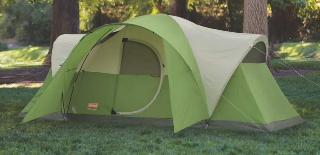 green and white coleman tent on grass