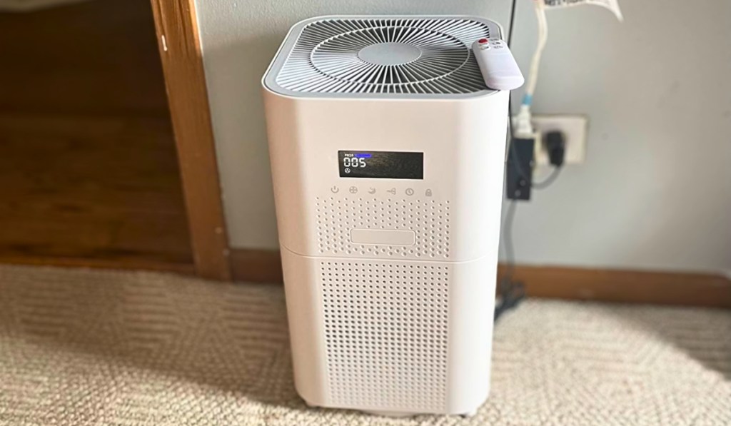 Dayette HEPA Air Purifier for Large Rooms